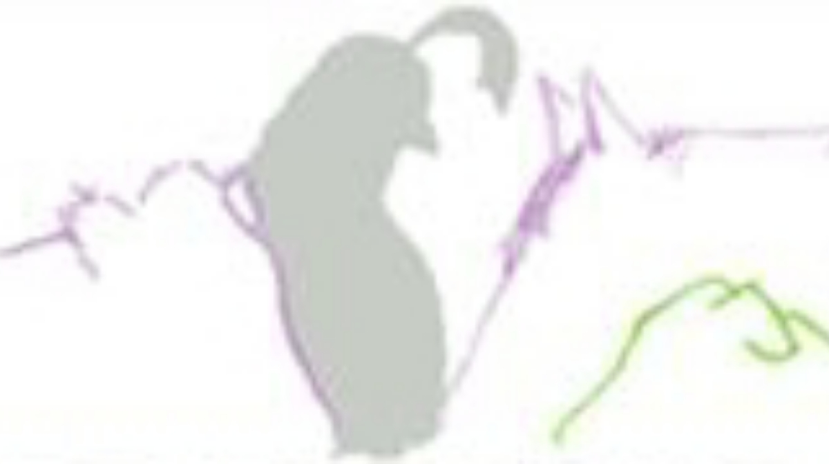 Quail Run Veterinary Services Roland