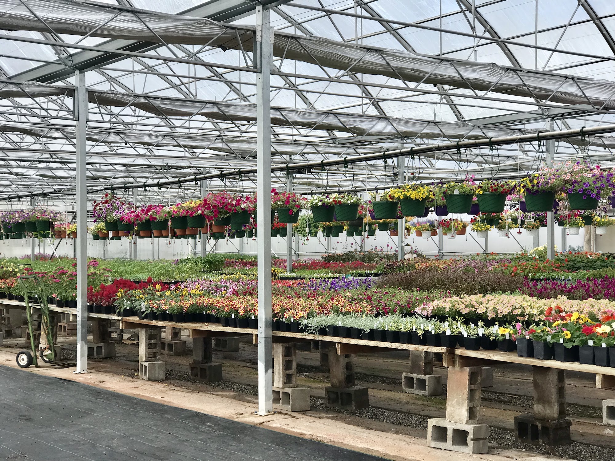 Edwards Floral and Greenhouses 74 E 4th S, Preston Idaho 83263