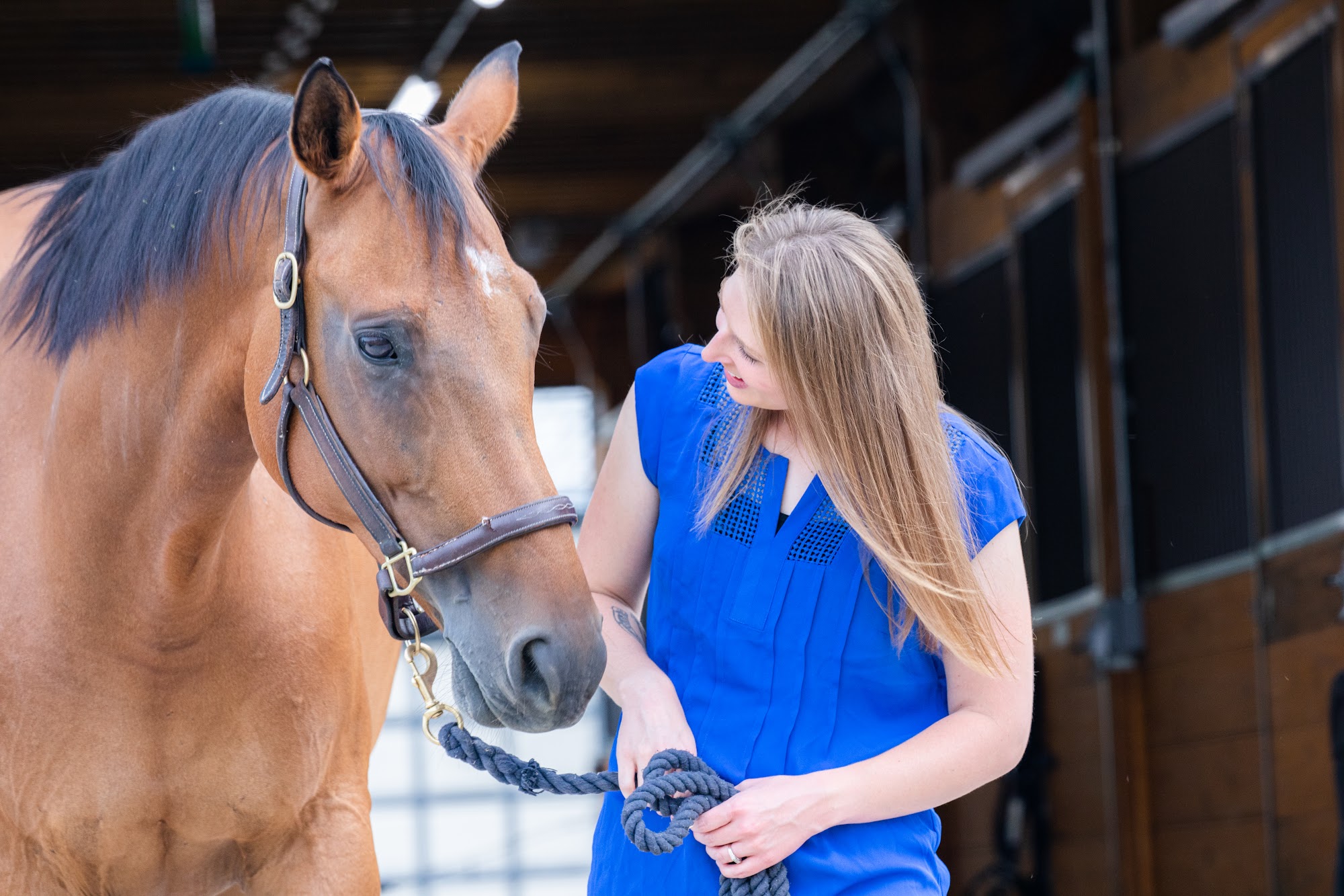 Iverson Equine Practice 24630 N Old McHenry Rd, Hawthorn Woods Illinois 60047