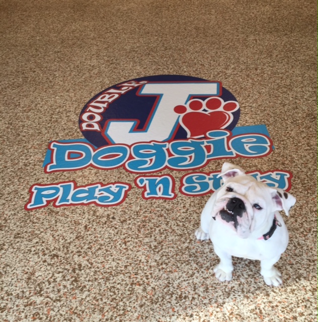 Double J Doggie Play N Stay 803 3rd St, Highland Illinois 62249