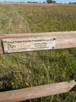 Down to Earth Hardscapes