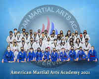 American Martial Arts Academy - Naperville