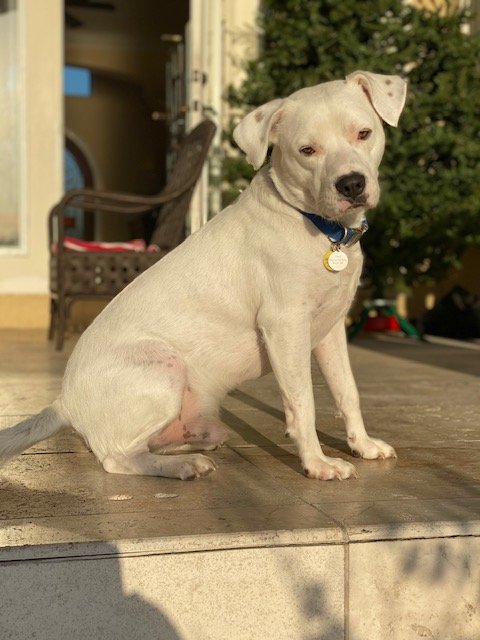 Photo credit: 