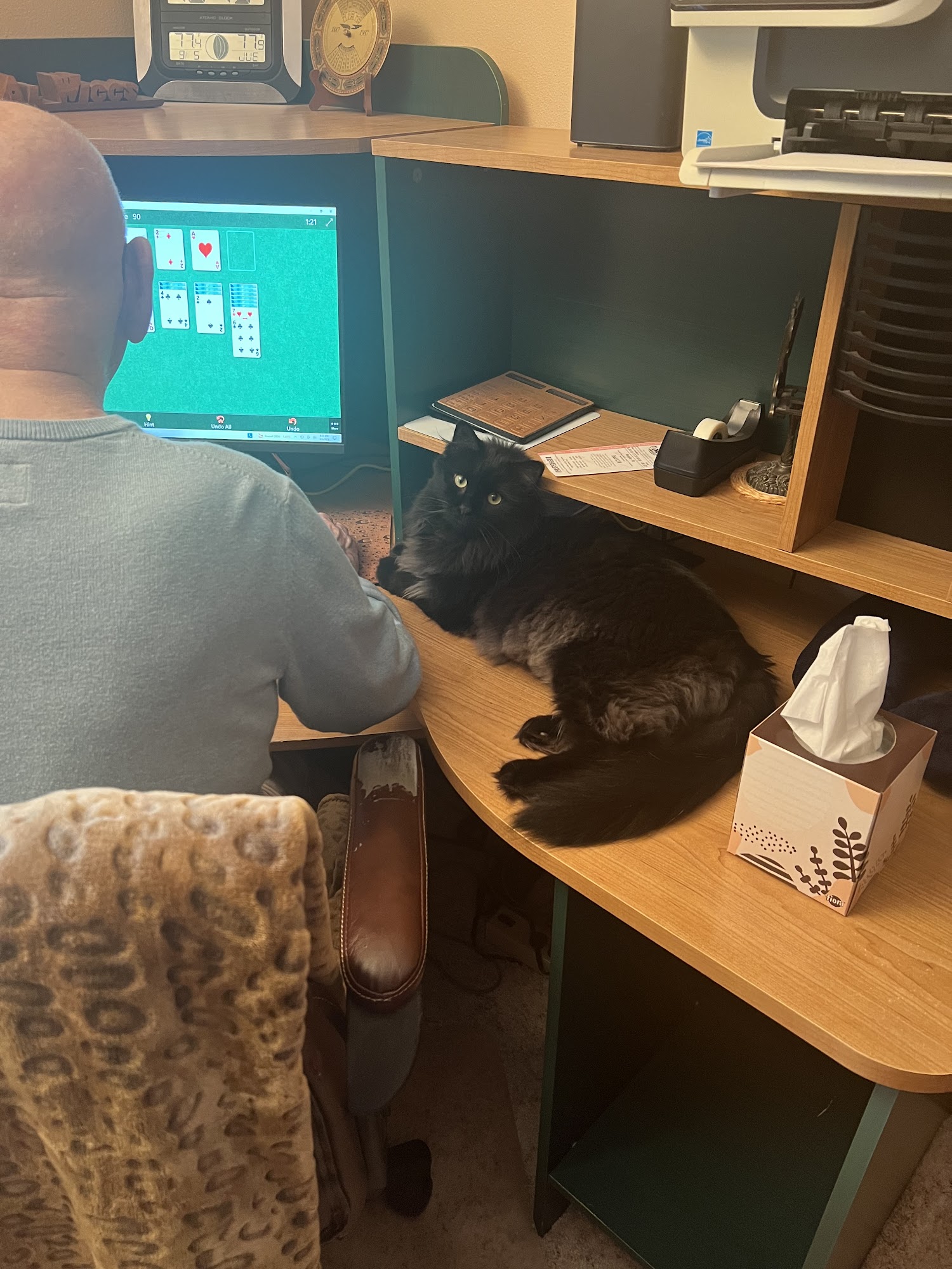 Ashley's Pet Palace Rockford