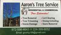 Aaron's Tree SVC