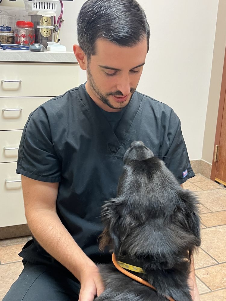 Vidt Jeff w DVM Westmont