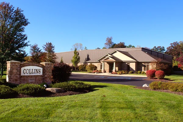 Collins Painting & Design