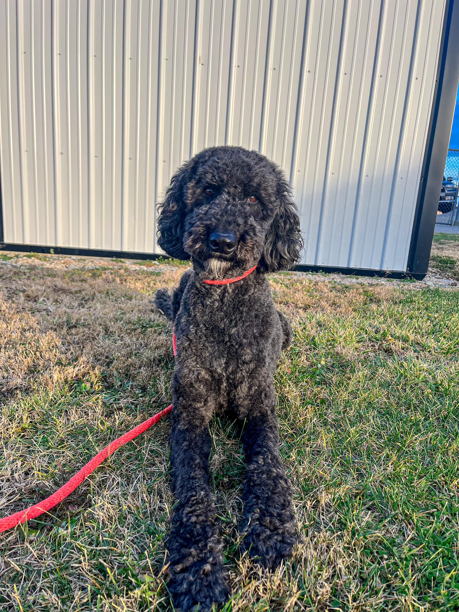 Double K Pet Hotel & Grooming 6300 N County Rd 500 E, Hope Indiana 47246