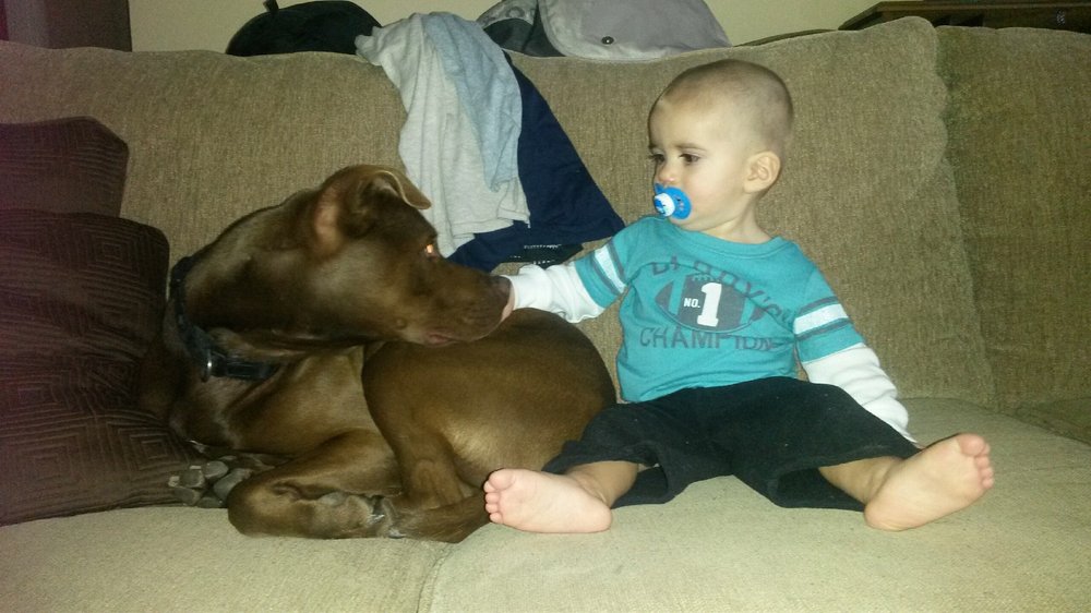 Photo credit: 