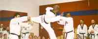 Korea Taekwondo Academy Northwest
