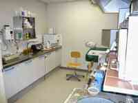 Dental Professional Labs Inc