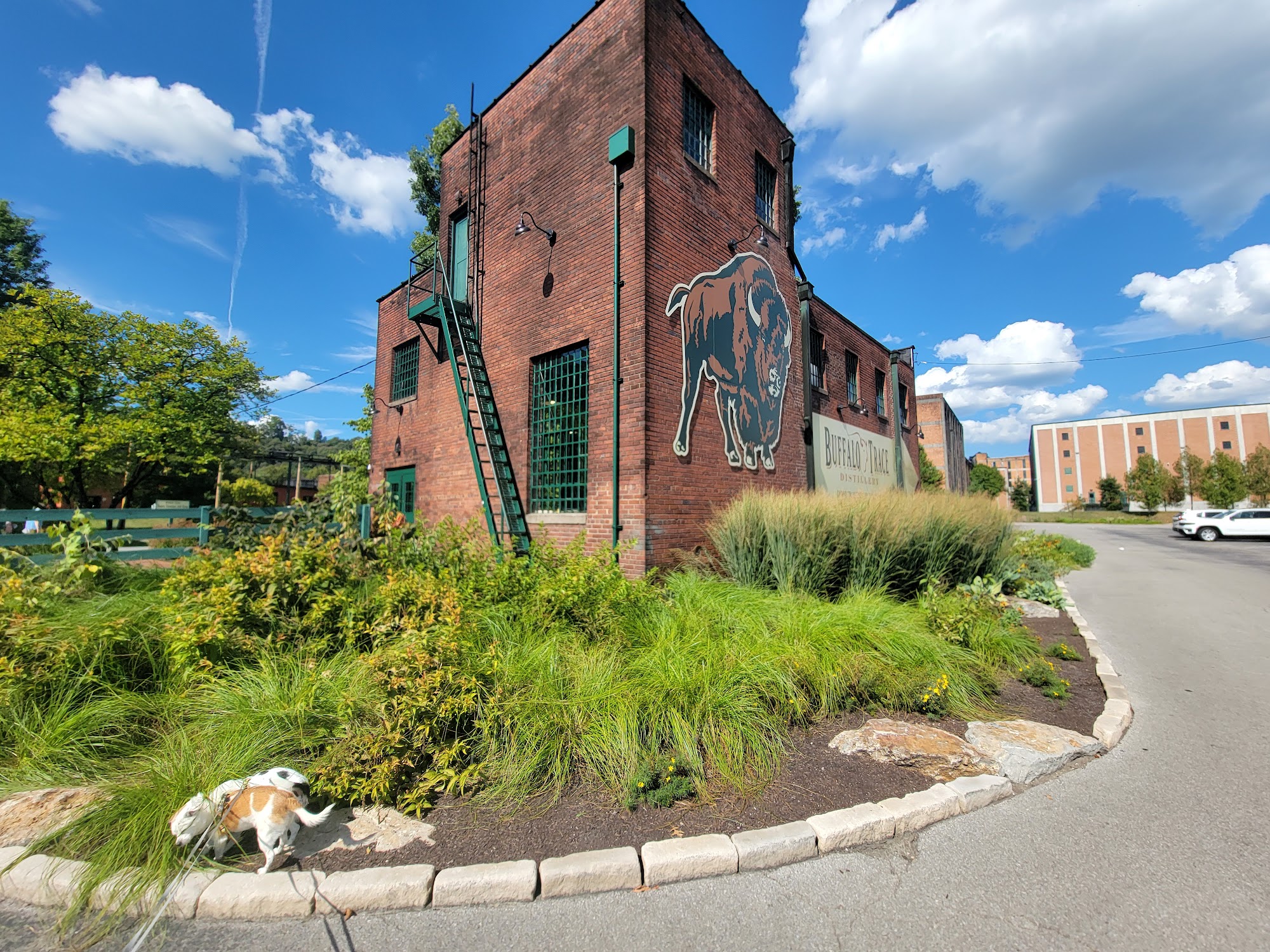 Buffalo Trace Distillery