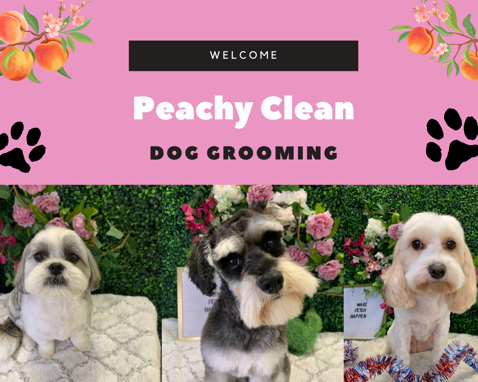 Peachy Clean Dog Grooming Georgetown