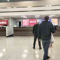 Avis Car Rental