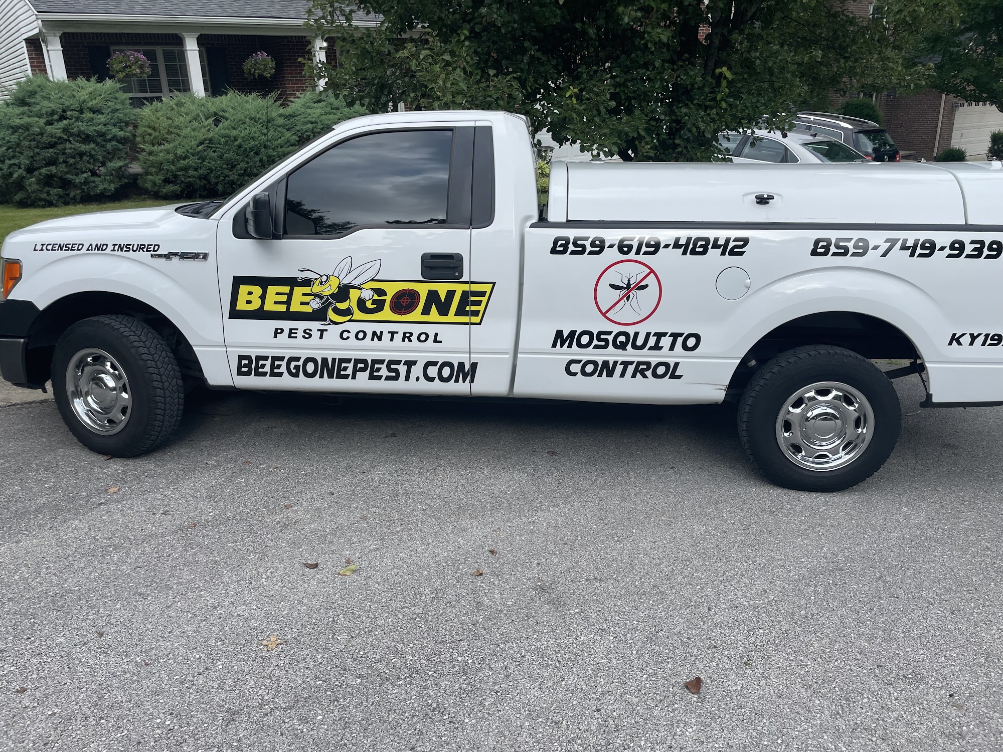Bee Gone Pest Control 200 Valley View Ln, South Portsmouth Kentucky 41174