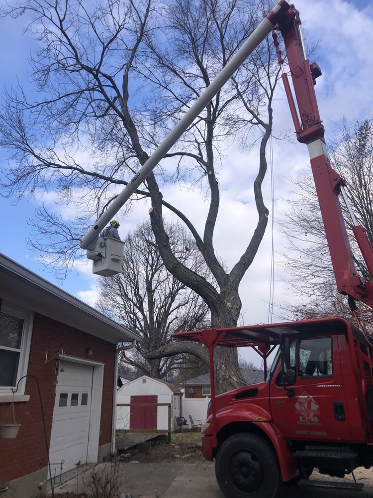 L & S Tree Service 2169 Skyview Rd, West Point Kentucky 40177