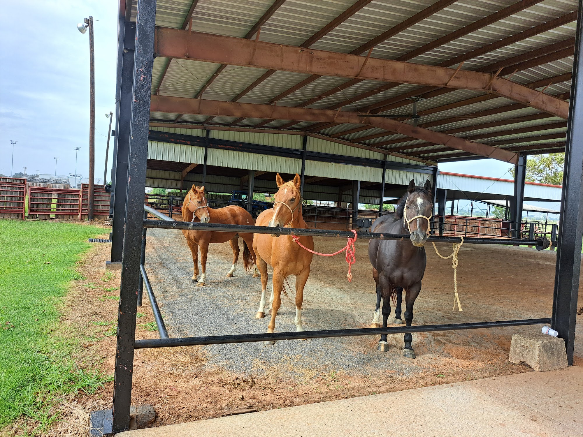 Red River Equine Hospital 325 Rubicon Rd, Benton Louisiana 71006