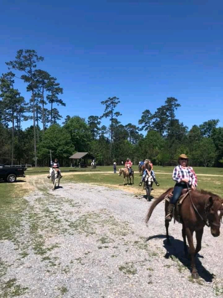 Bogue Chitto Horse Rentals 17049 State Park Blvd, Franklinton Louisiana 70438