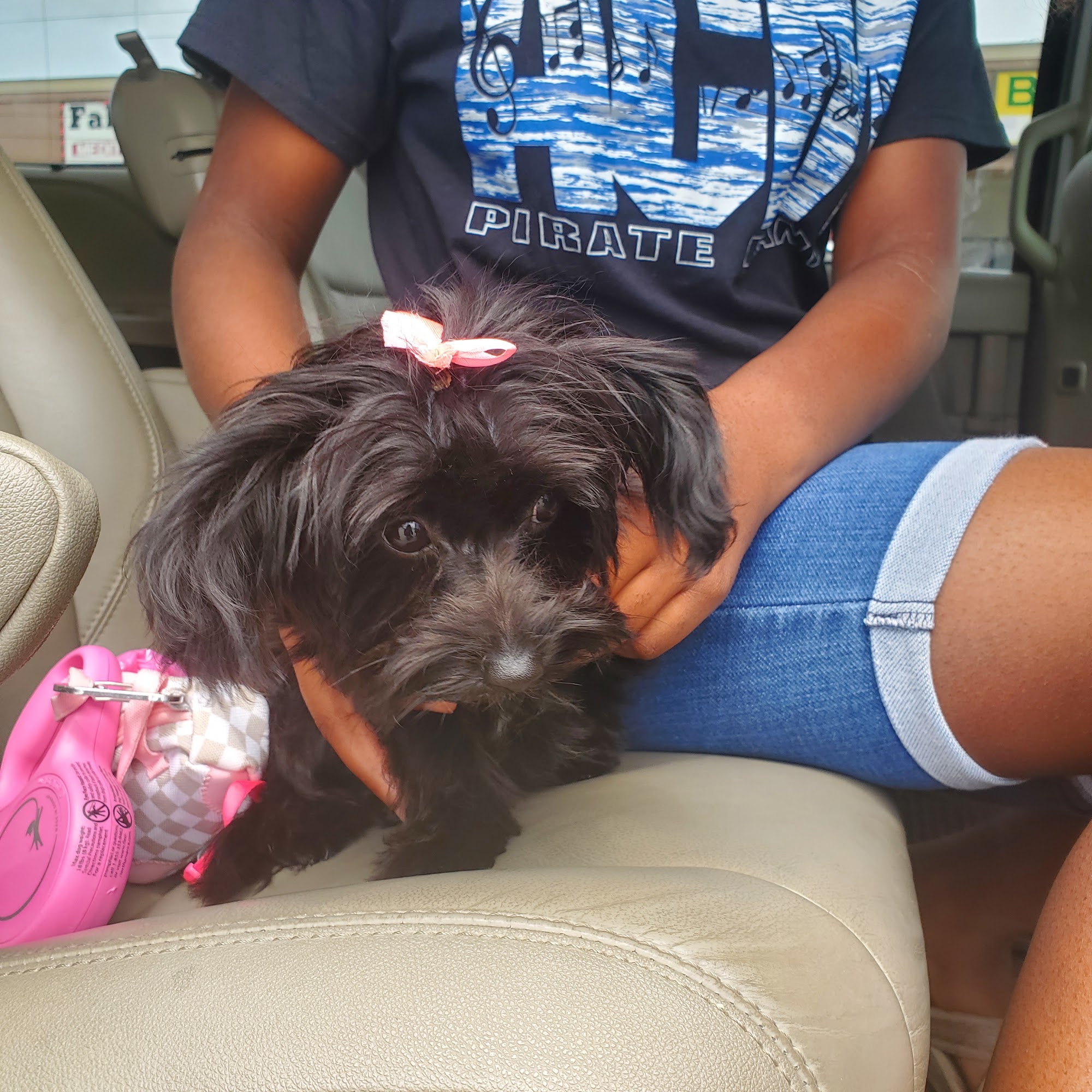 Jamie's Purple Poochie Parlor Kenner