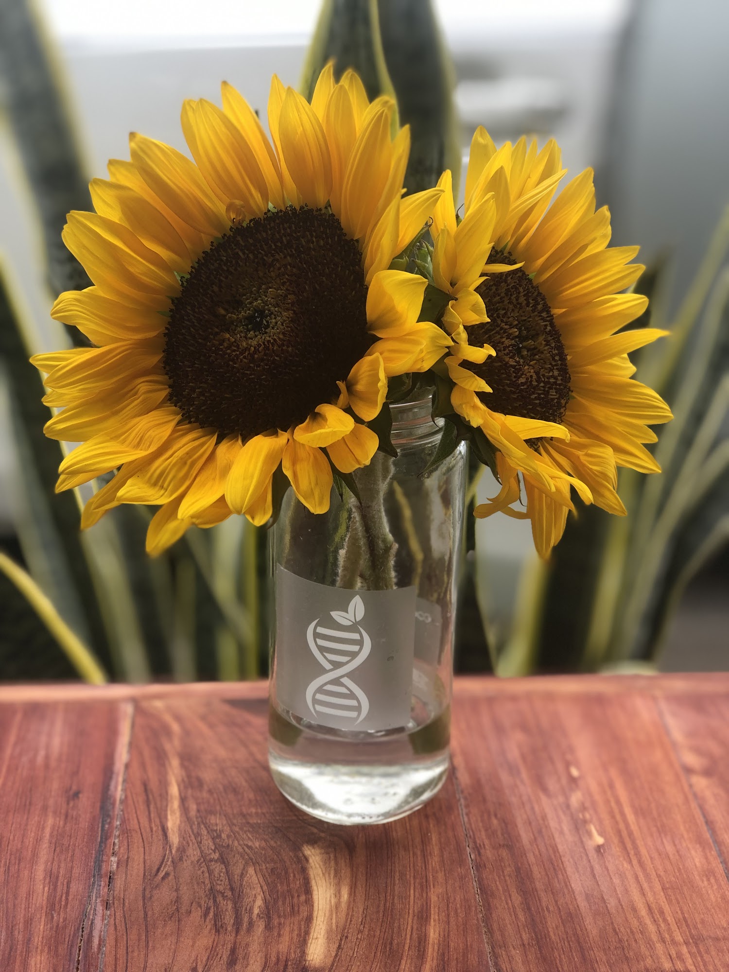 Emerge Juice (inside Sacred Earth Co) Mandeville