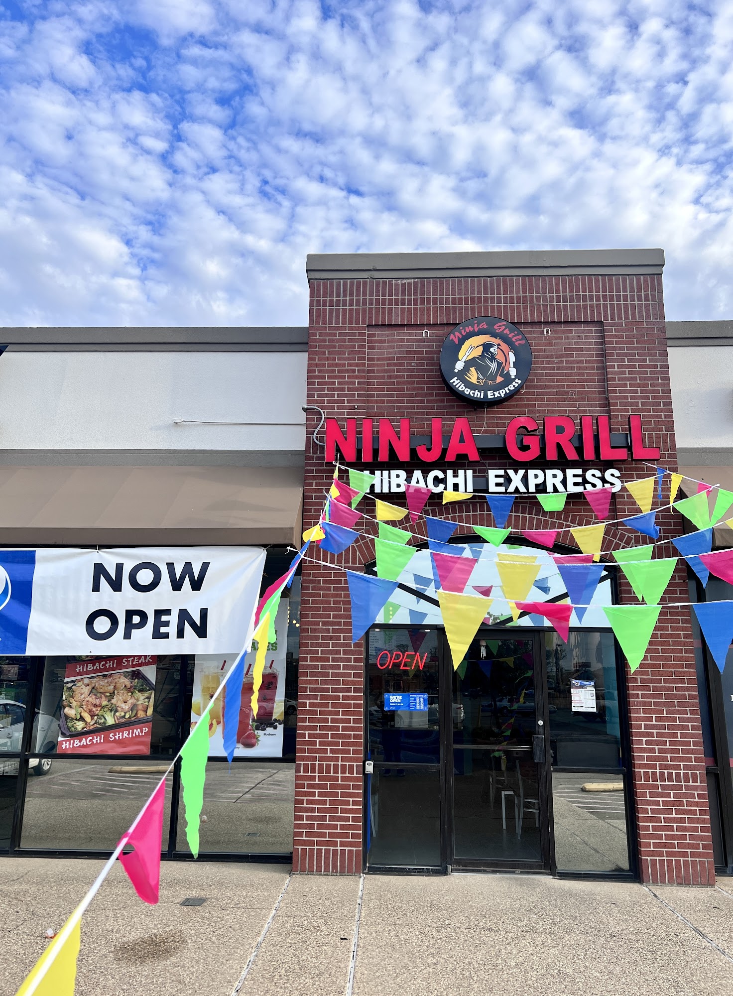 Ninja Grill Hibachi Express