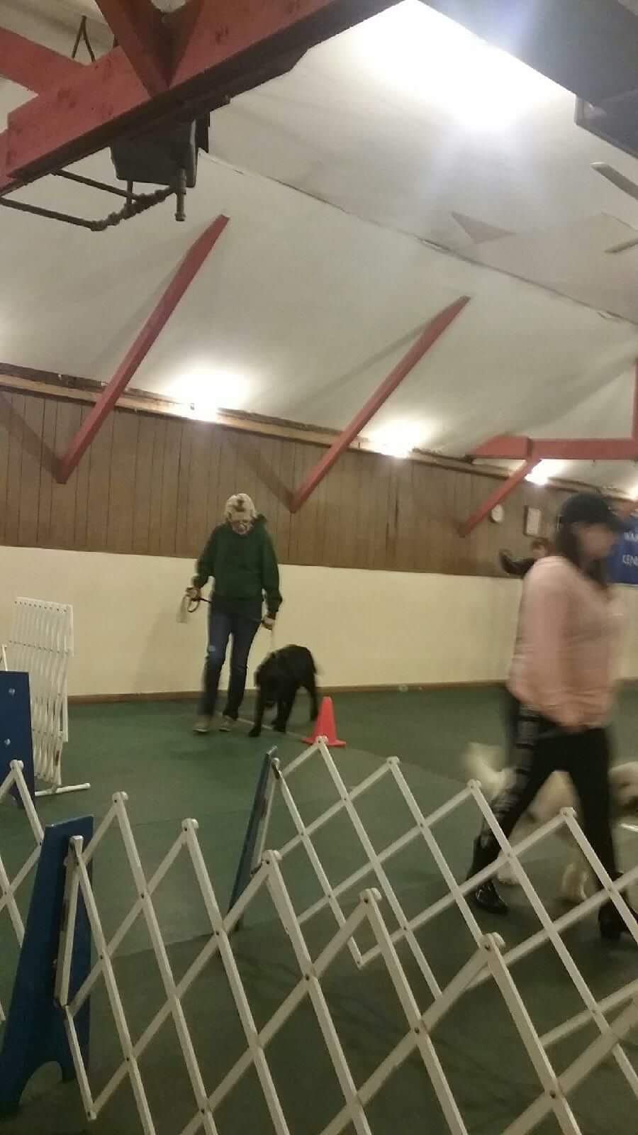 Wampanoag kennel club Acushnet