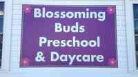 Blossoming Buds Preschool & Daycare, Inc
