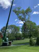 Cicoria Tree and Crane Service, Inc.