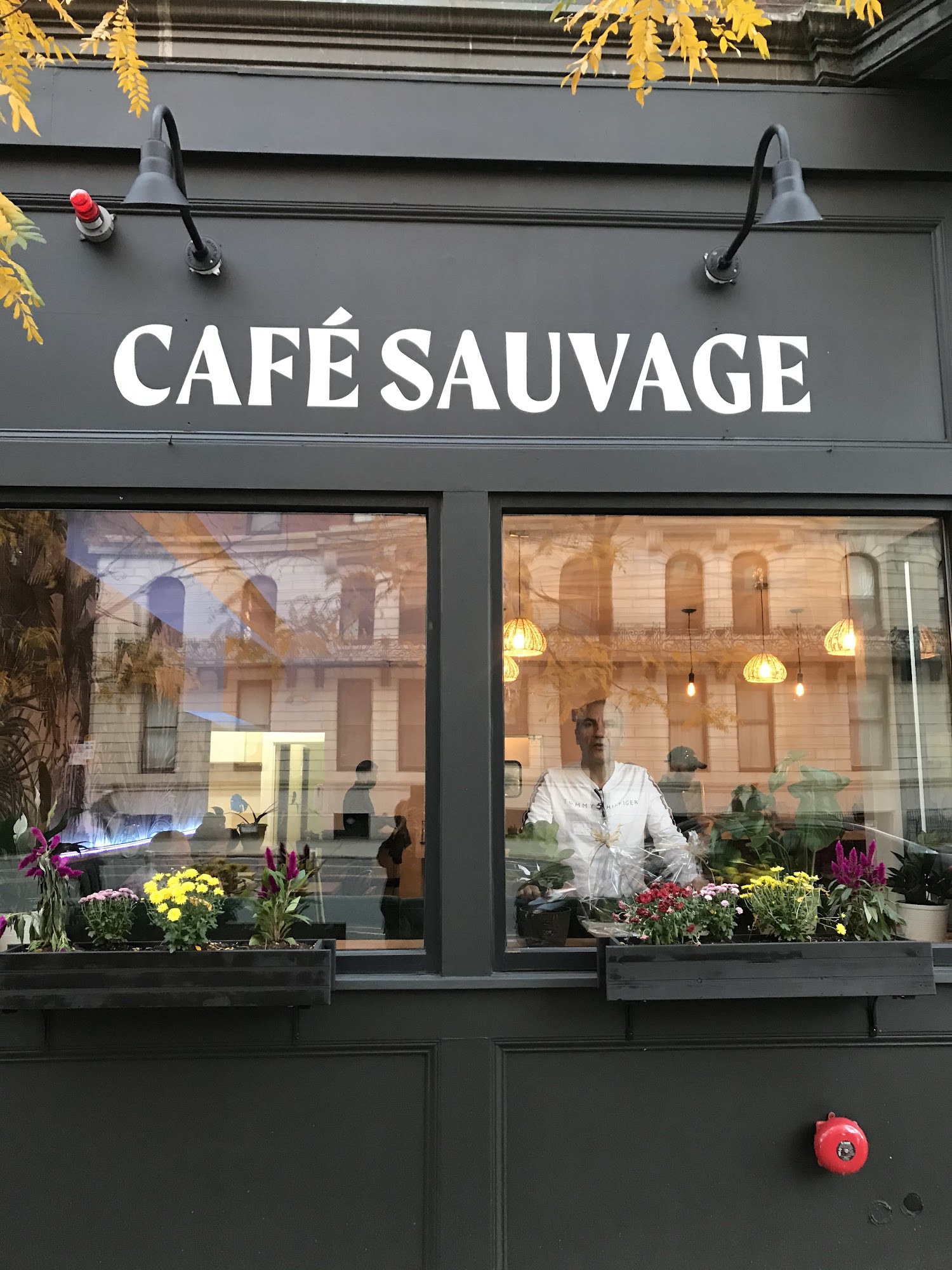 Cafe Sauvage