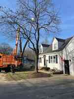 Tree Services of New England