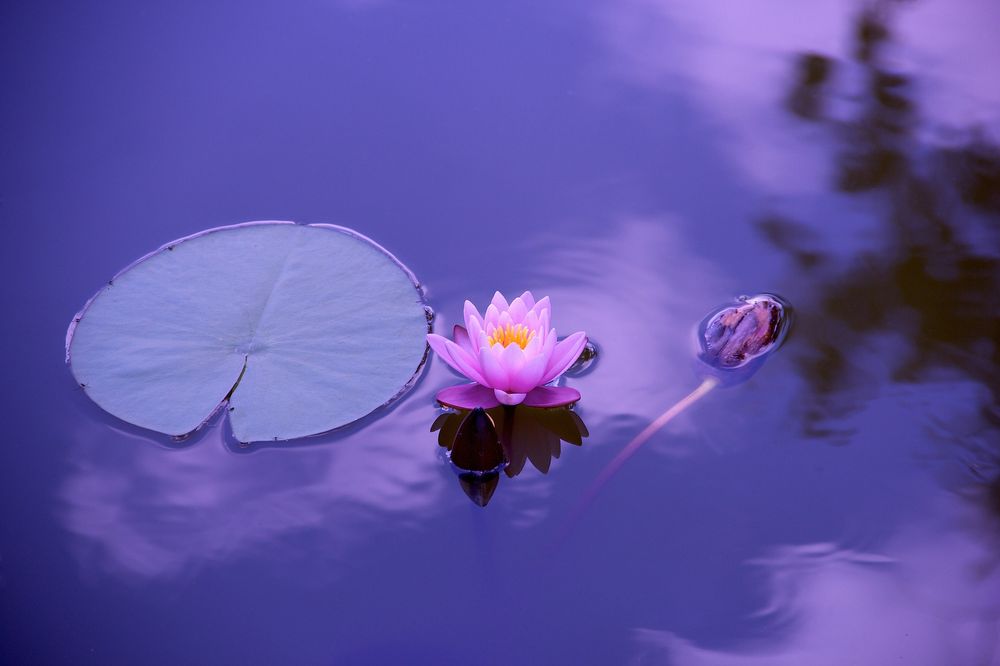 Photo credit: 