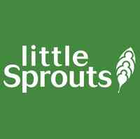 Little Sprouts Early Education & Child Care in Milton