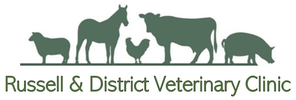 Russell & District Veterinary Clinic 418 Assiniboine St, Russell Manitoba R0J 1W0