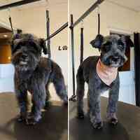 Cindy’s Place Small Dog Grooming