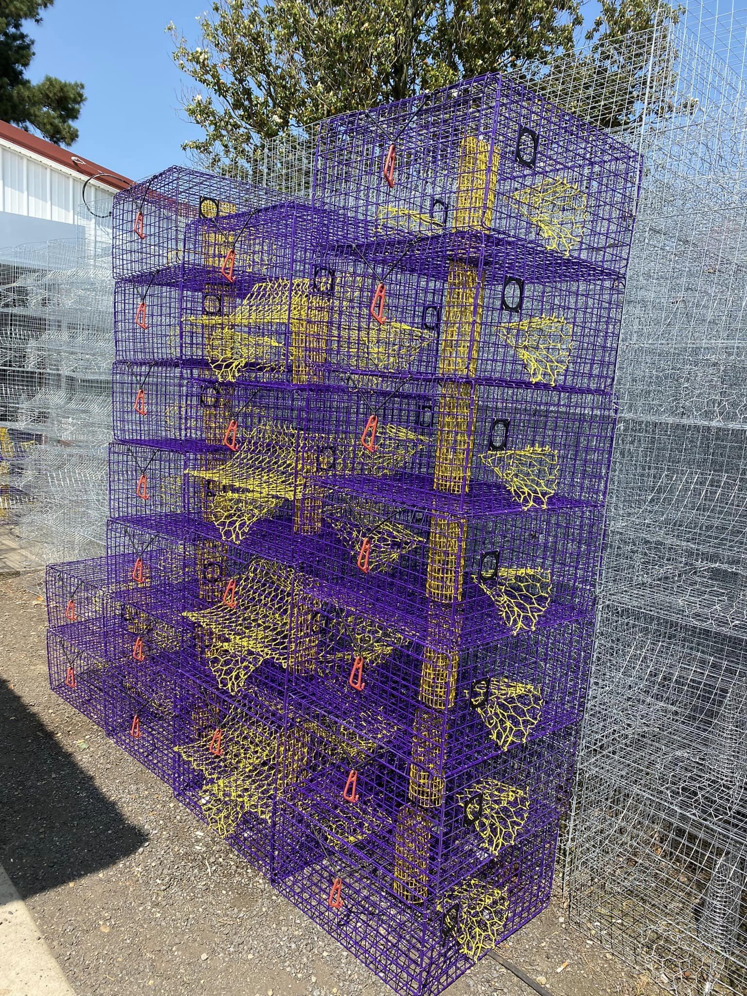 James Morris Seafood & Supplies 21517 Gerards Cove Rd, Abell Maryland 20606