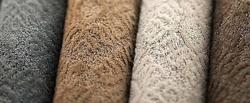 Best Carpet & Rug