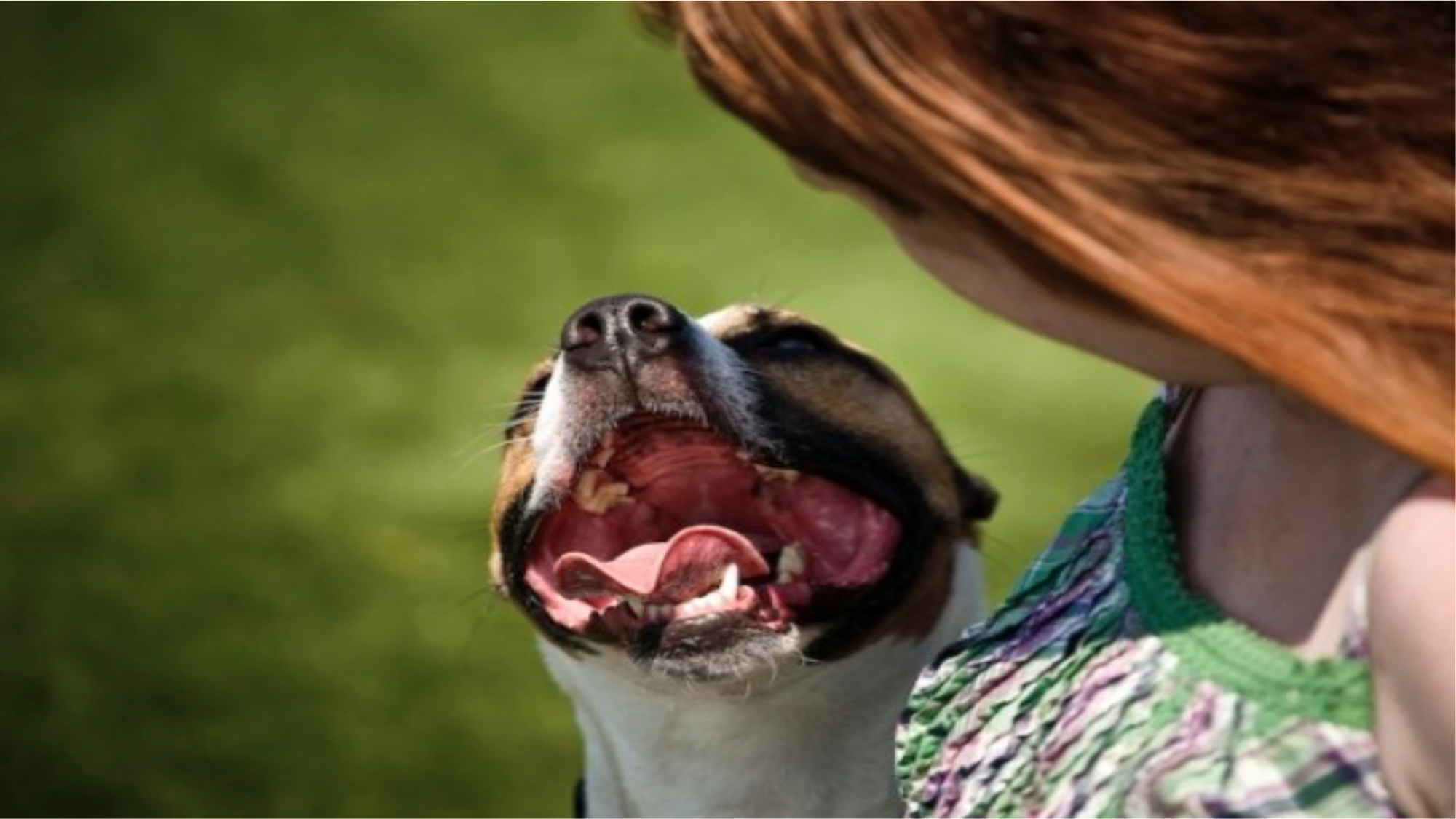 Oscar Winning Behavior Baltimore