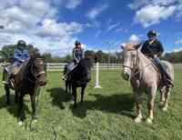 Hunt View Horse Riding Academy