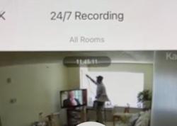 Kenmore Pest Control & Termite Services