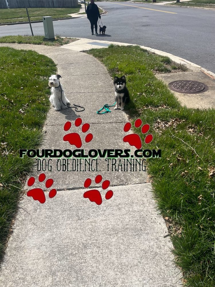 fourdoglovers 10807 W Kettering Dr, Largo Maryland 20774
