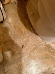 Archibald Plumbing Services
