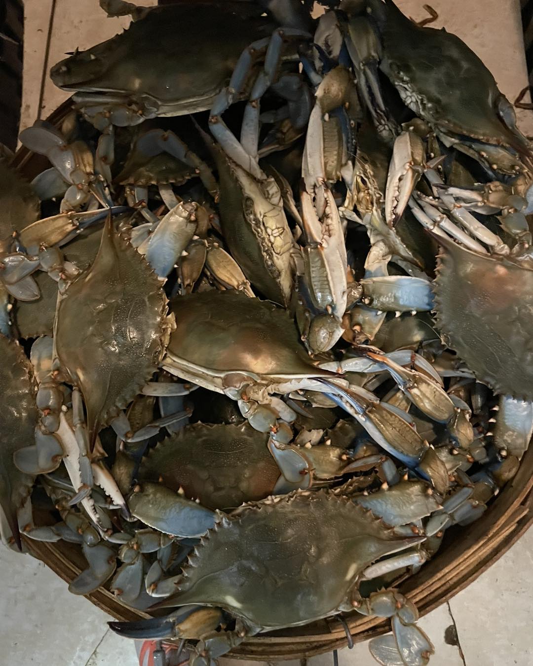 Southern Maryland Crabs & Seafood