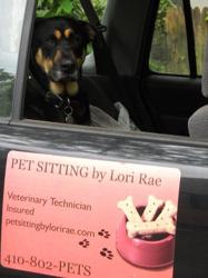 Pet Sitting By Lori Rae