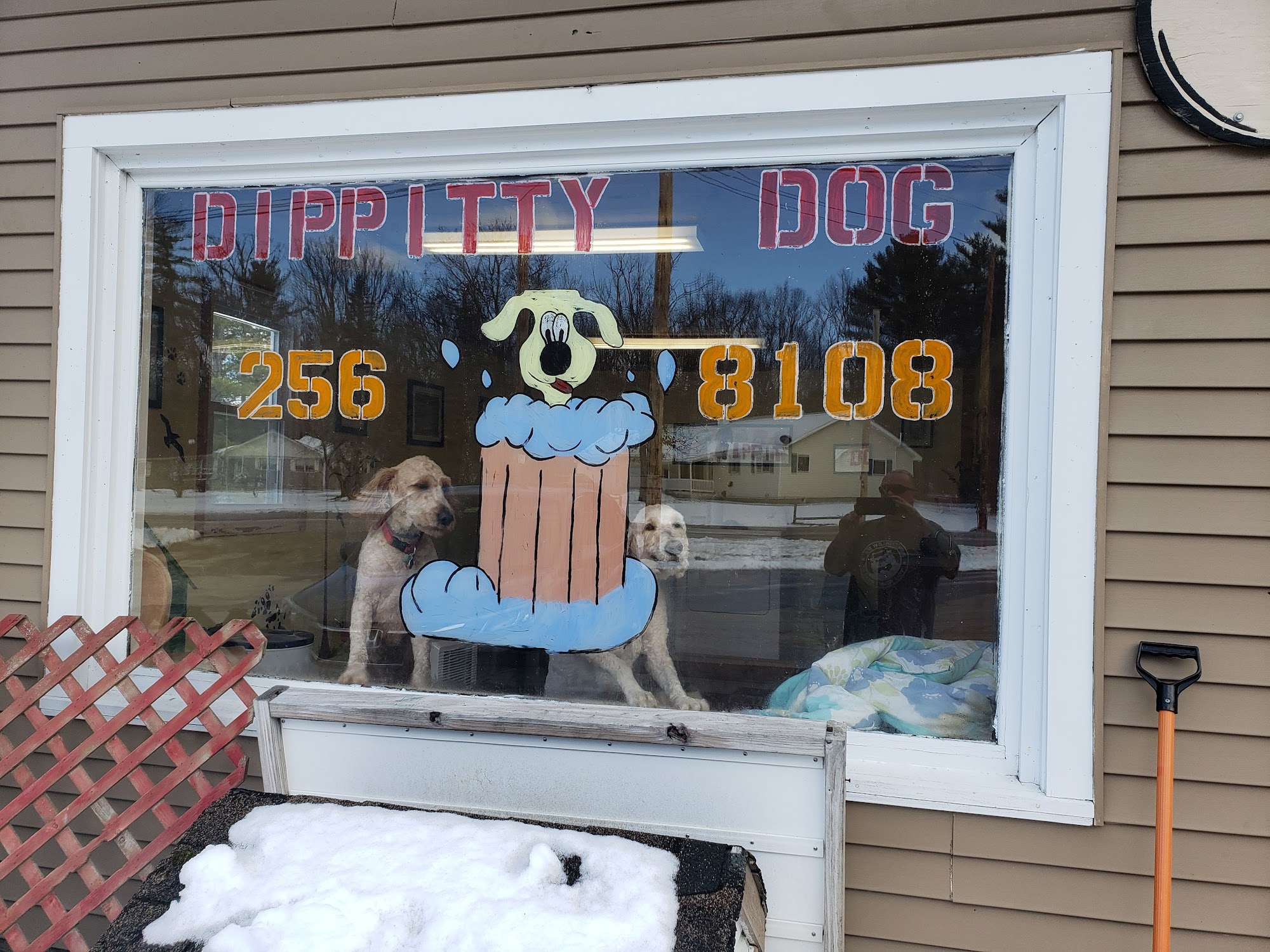 Dippitty Dog Grooming 183 Bridgton Rd, Fryeburg Maine 04037