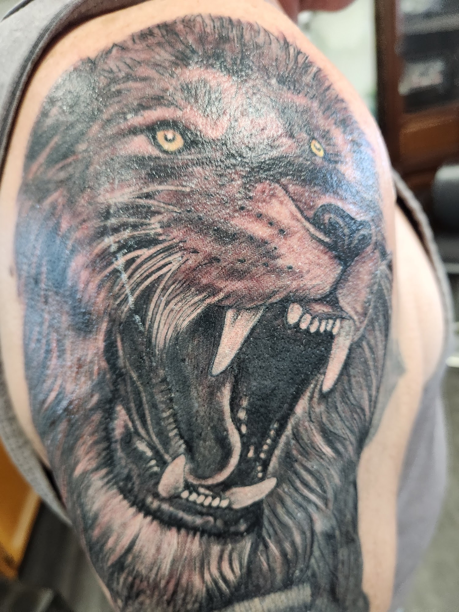 Detail and Color Tattoo 137 Crawford Rd, Pittsfield Maine 04967