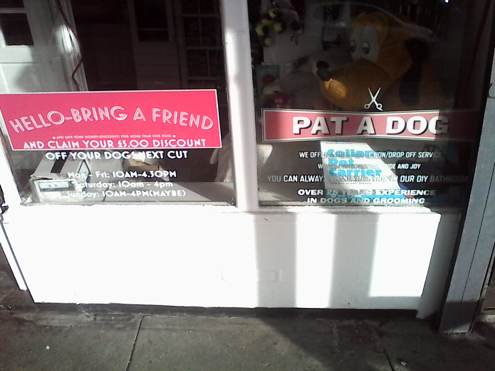 PAT A DOG Liverpool