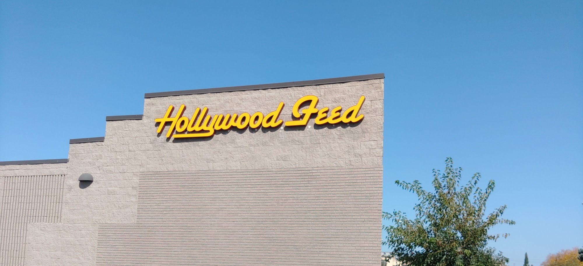 Hollywood Feed