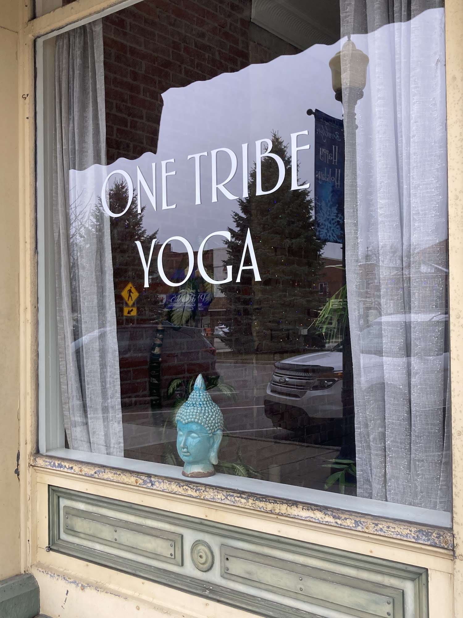 One Tribe Yoga 124 N Main St, Brooklyn Michigan 49230