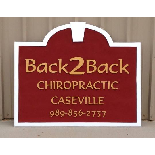 Back 2 Back Chiropractic, PLLC 6249 Main St, Caseville Michigan 48725