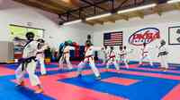 PKSA Karate Detroit